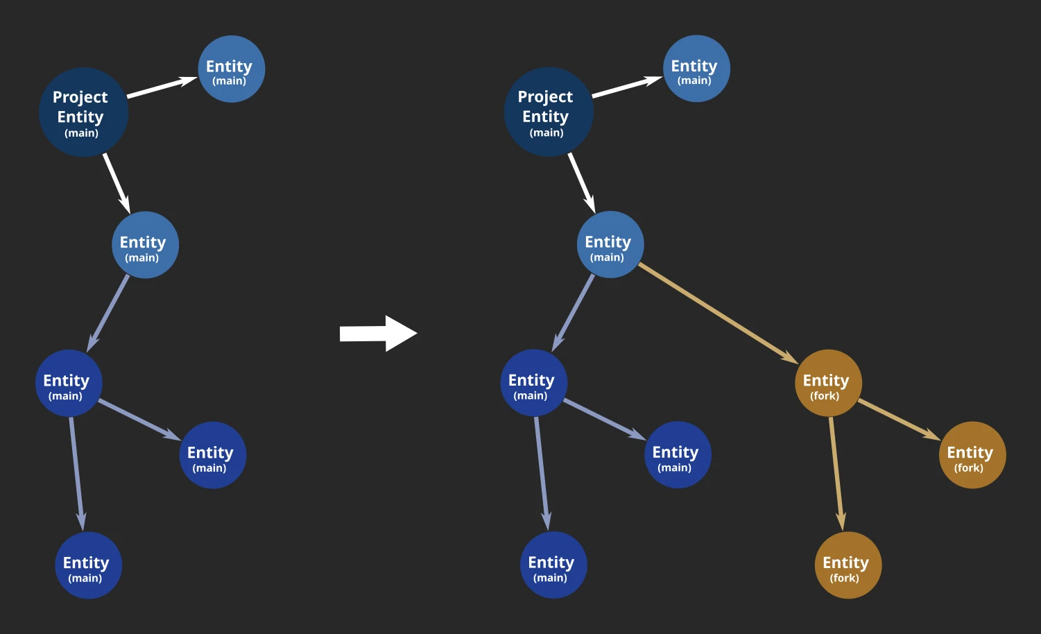 A subgraph forked from the main entity branch to the fork entity branch