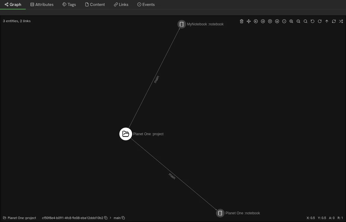 The project graph view showing the new notebook entity linked to the project