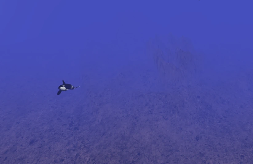 A 3D deep sea scene beneath the water surface